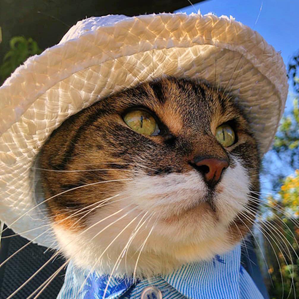 正在输入中……