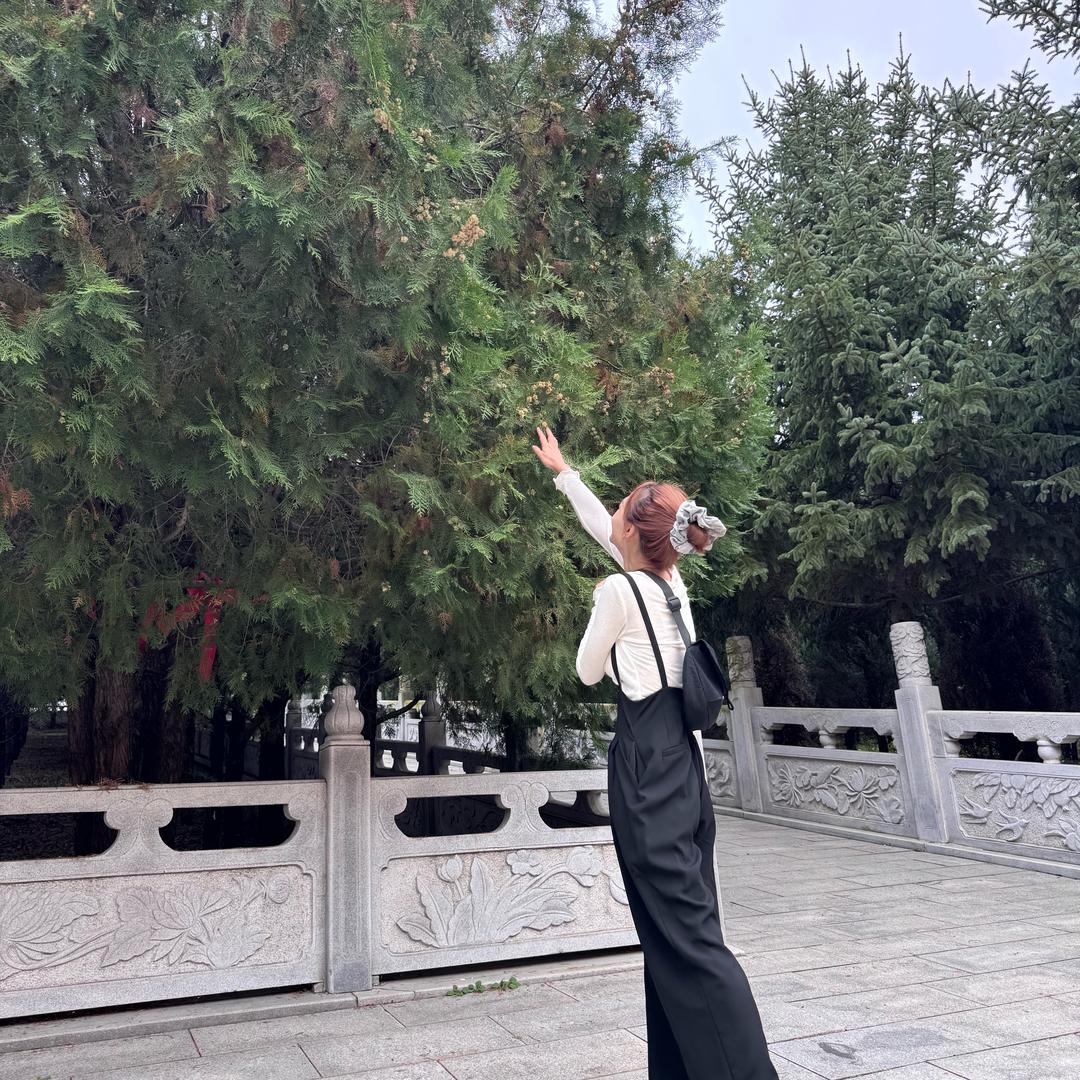 💐💐微风许甜💐💐