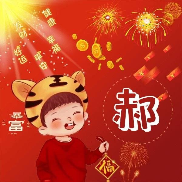 安装摄像头