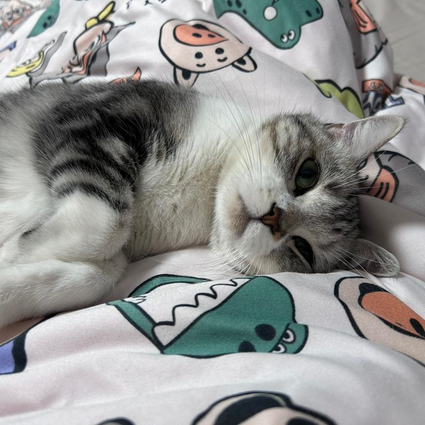 豆角能不能煮熟