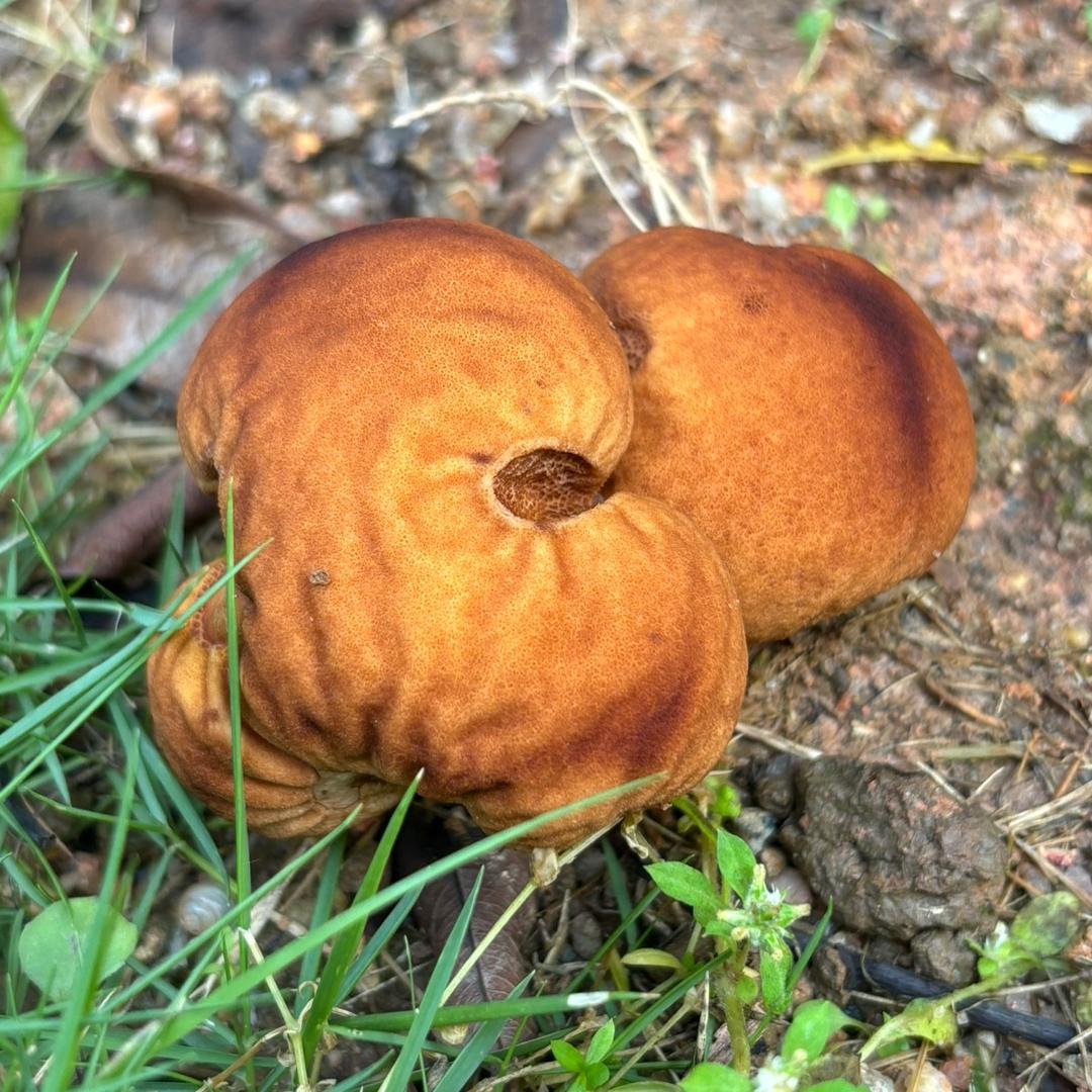 校园橱窗