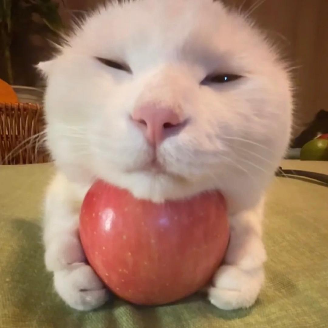 小周yy