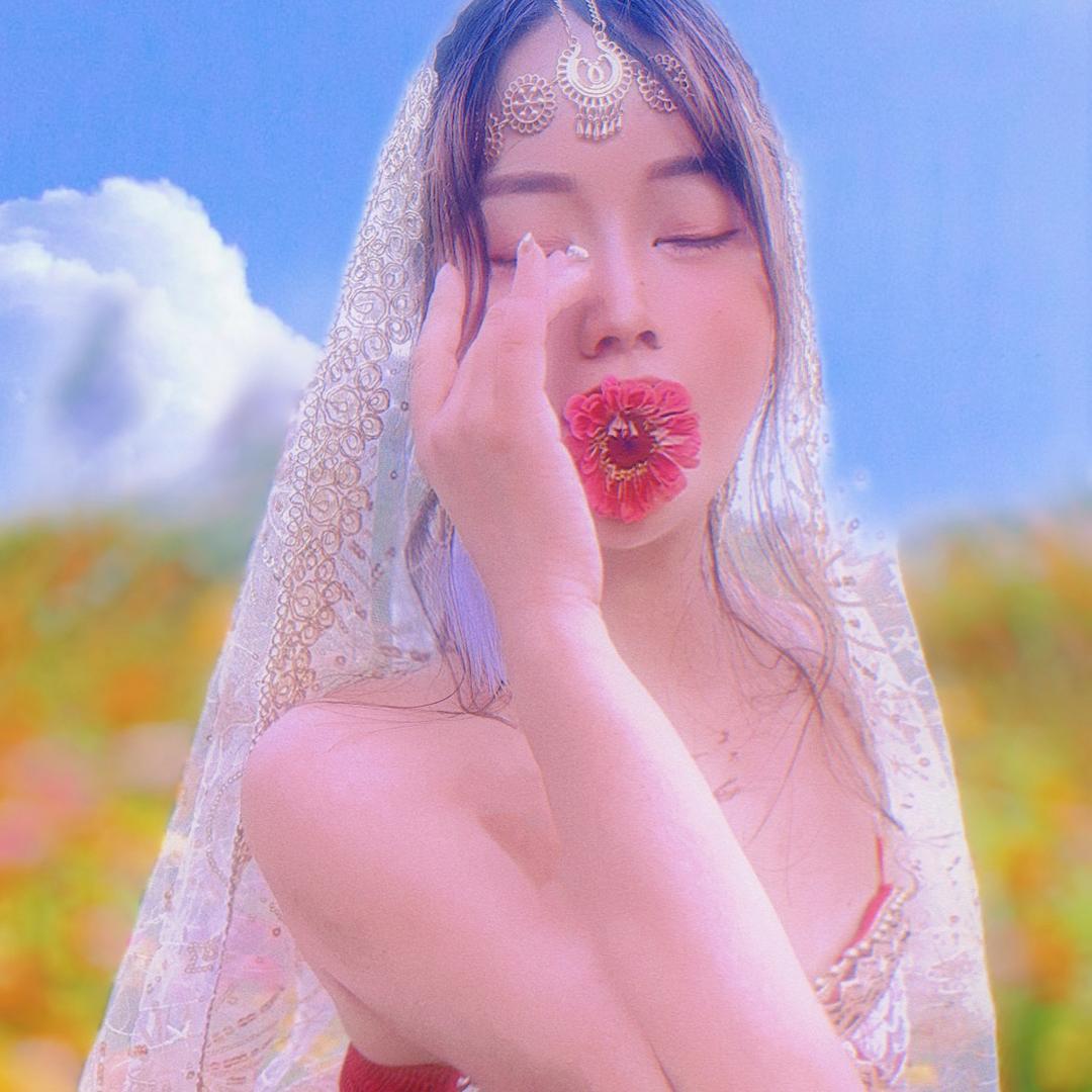 呆萌庆