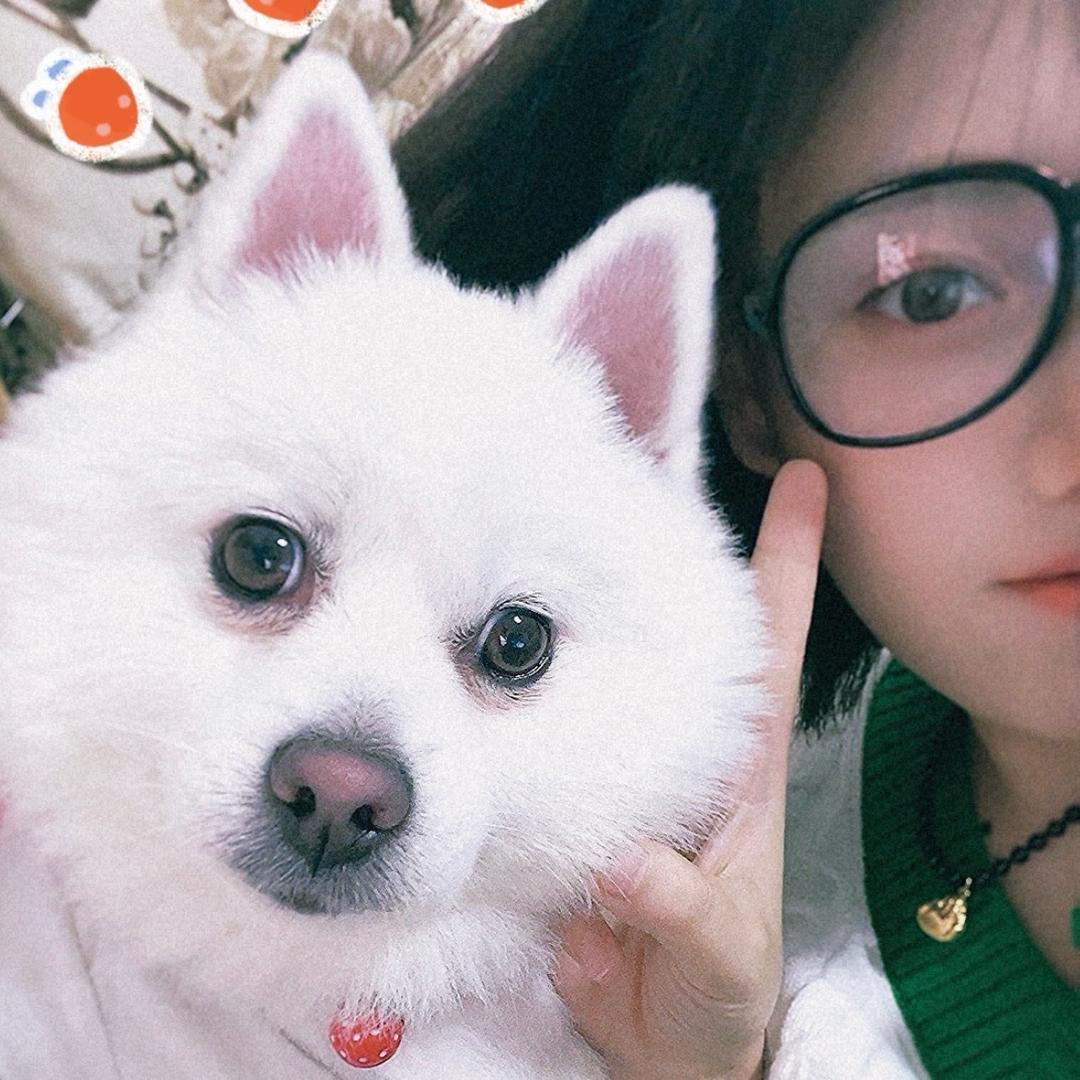 MaybeL•