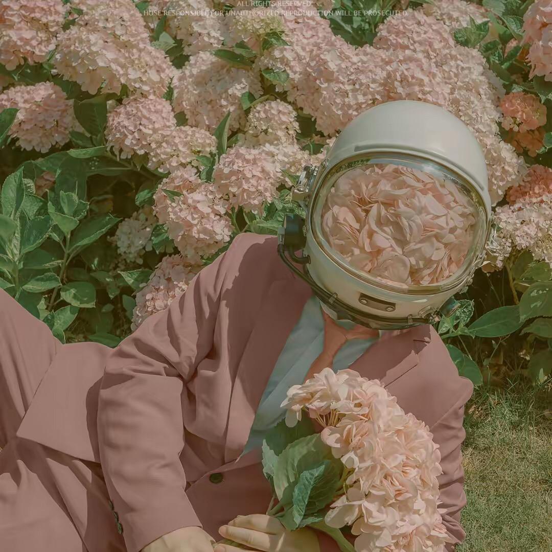 不念不想刚刚好