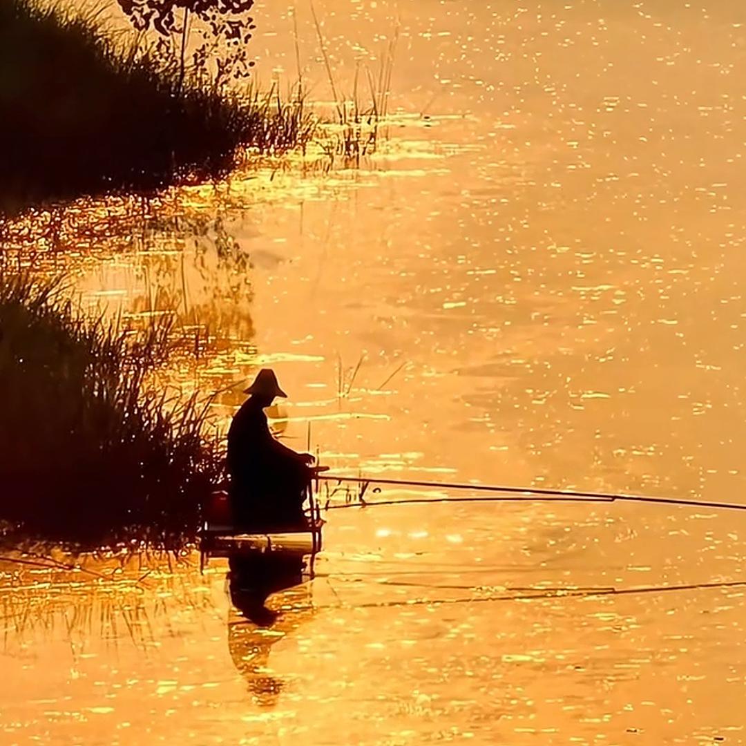 愿者上钩《安徽鲢刀战队》