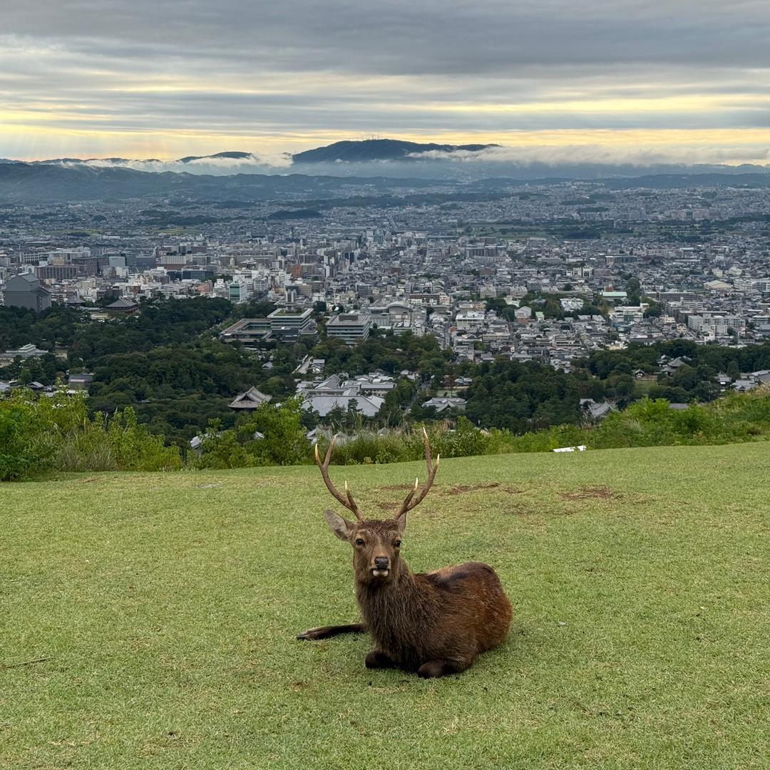 重生之在深圳做租赁