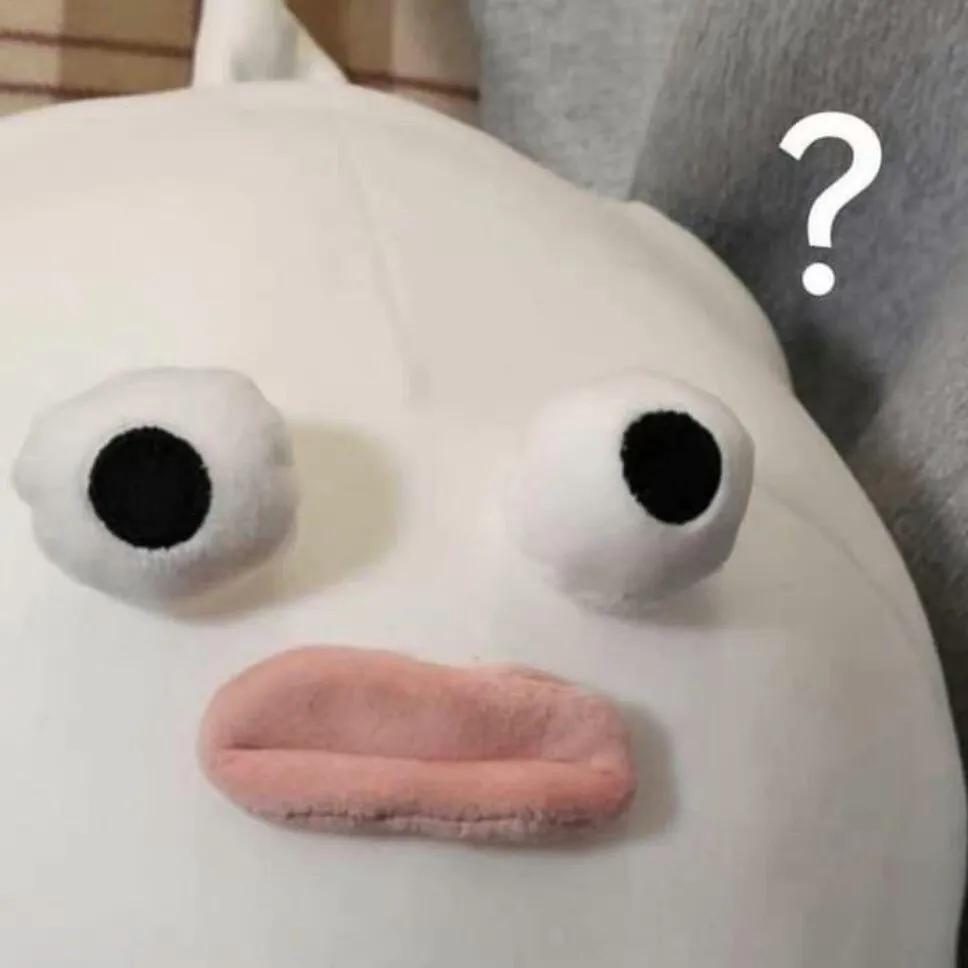 我王多鱼投了