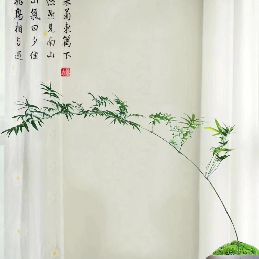 花海森林