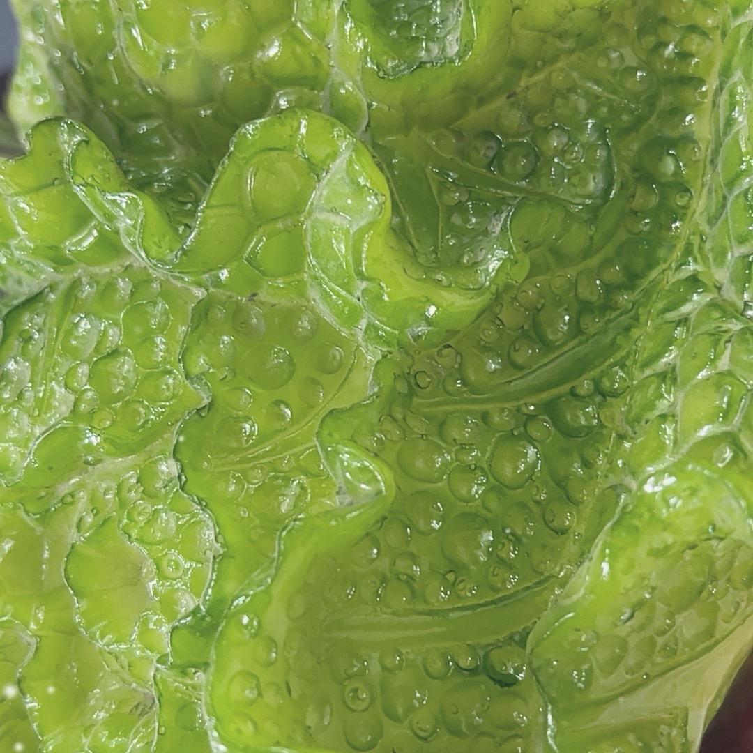 郑州做服装的闫姐