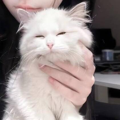 @林一