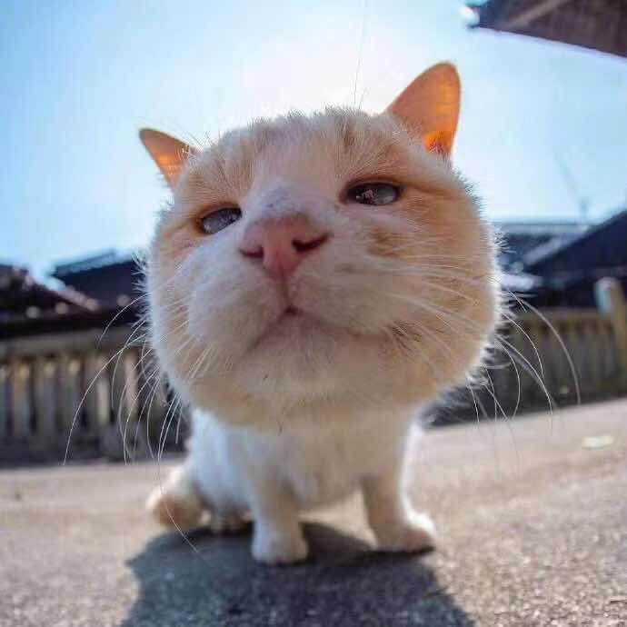 🌈落日晚霞🌈