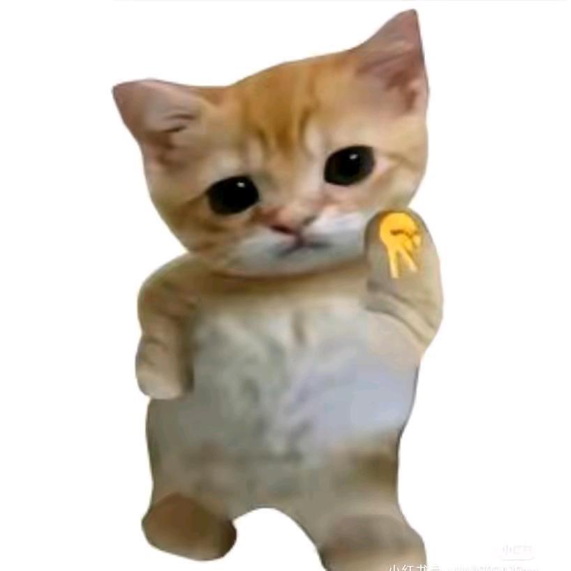 wall______