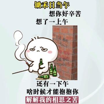 q猫