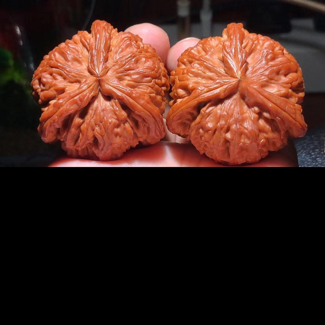 典秀文玩核桃