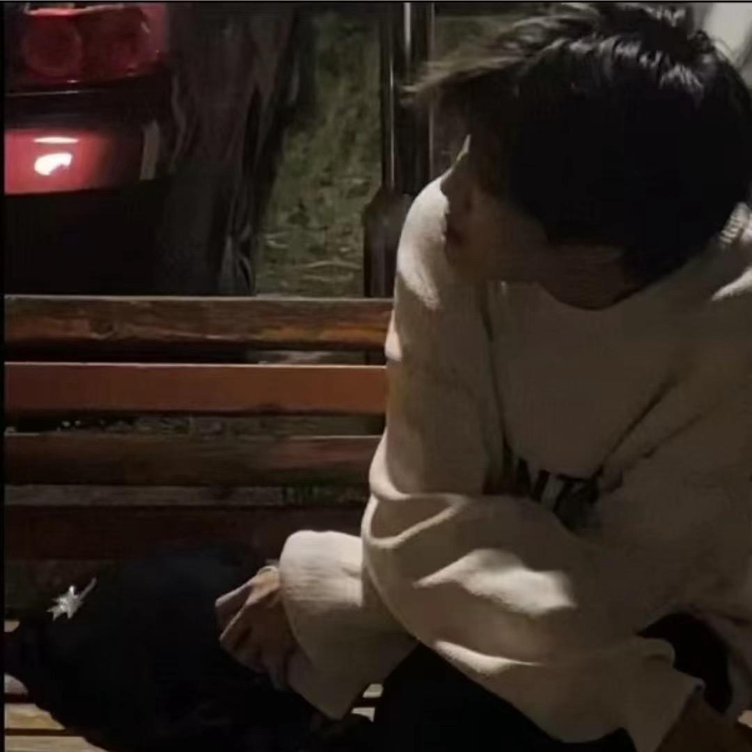 寻白熊