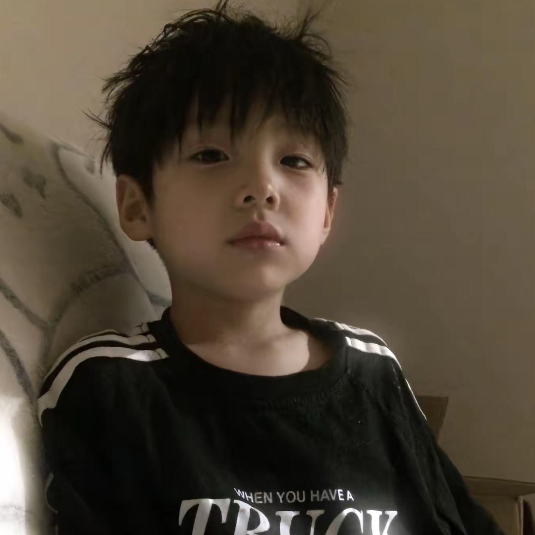 不穿苦茶子