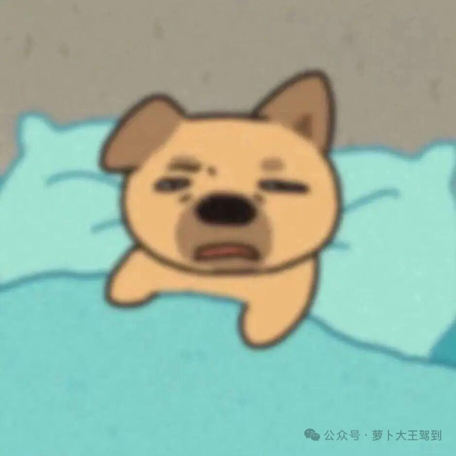 溺水的猪大肠