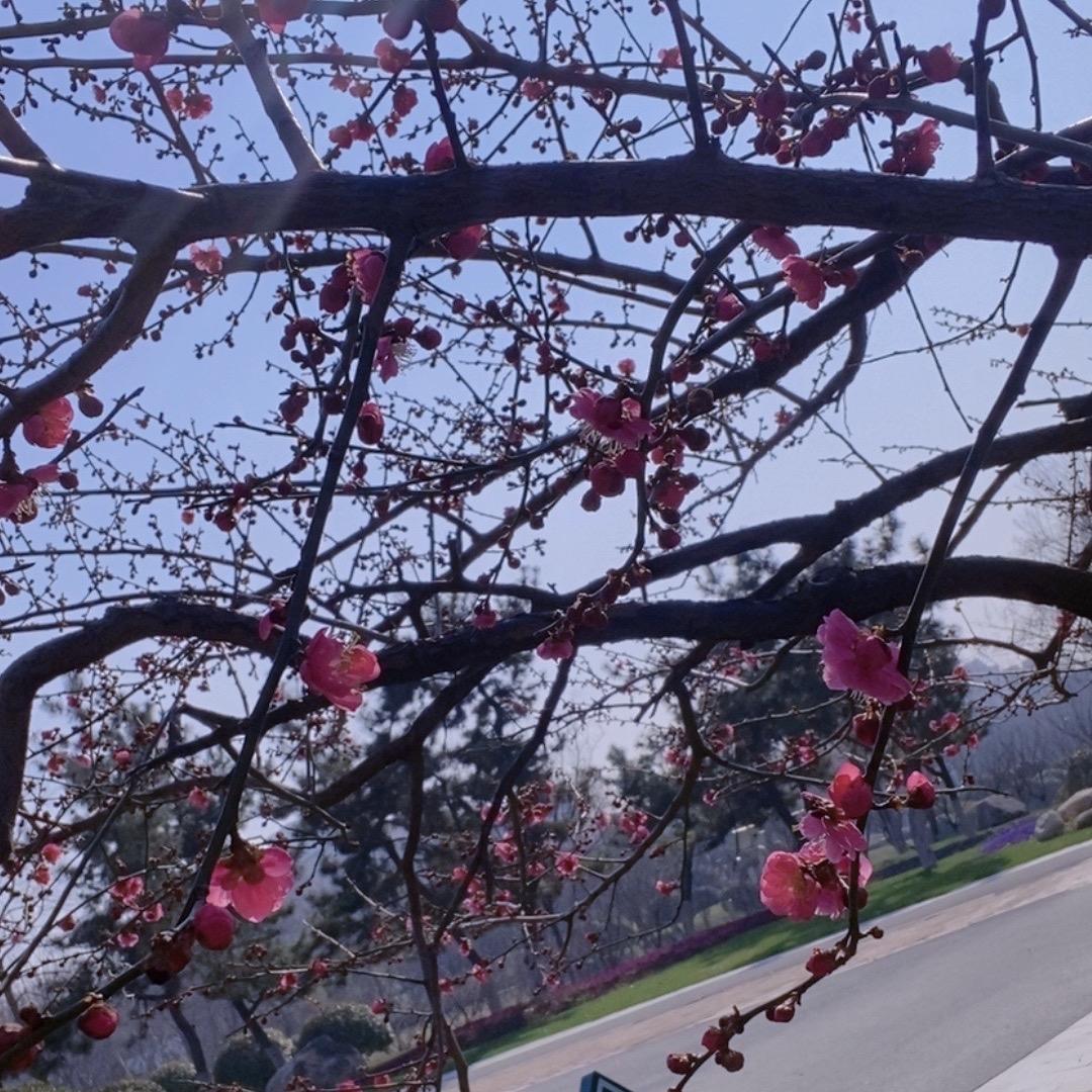 清闲