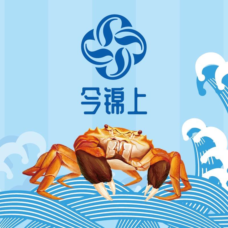 今锦上官方旗舰店