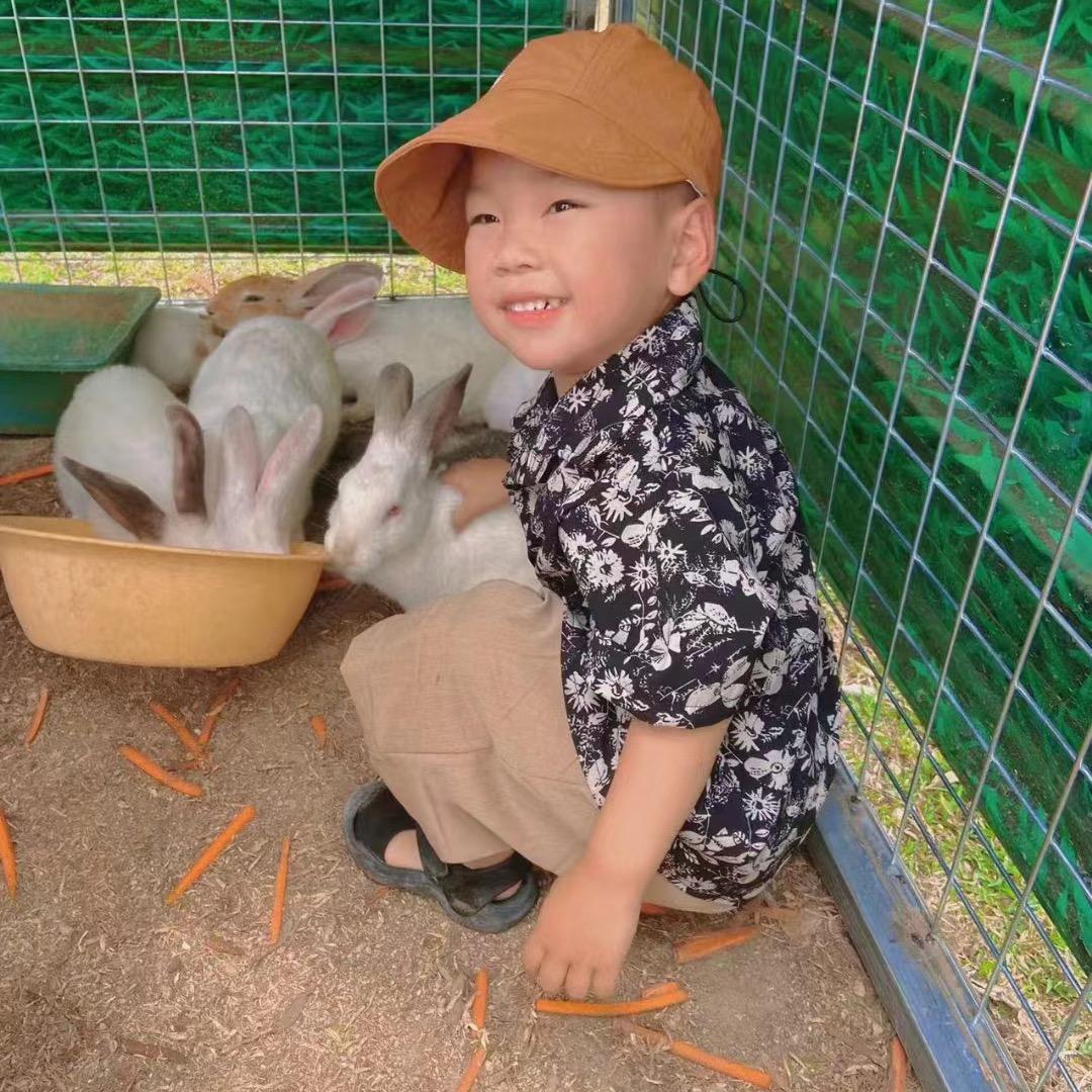 多多辅食日记