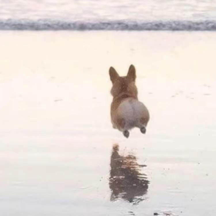 小y