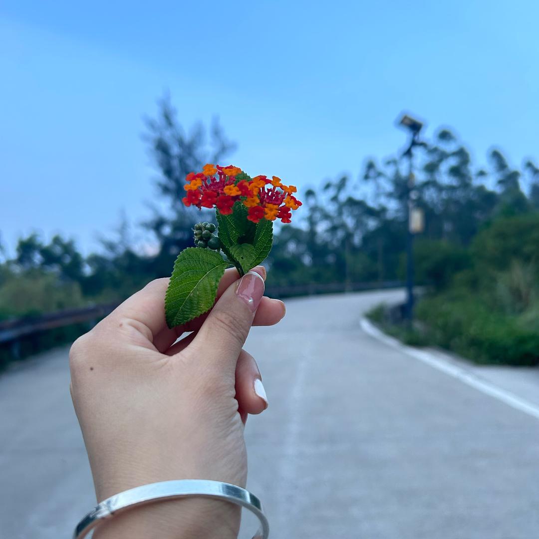 不姓丁的丁姐姐
