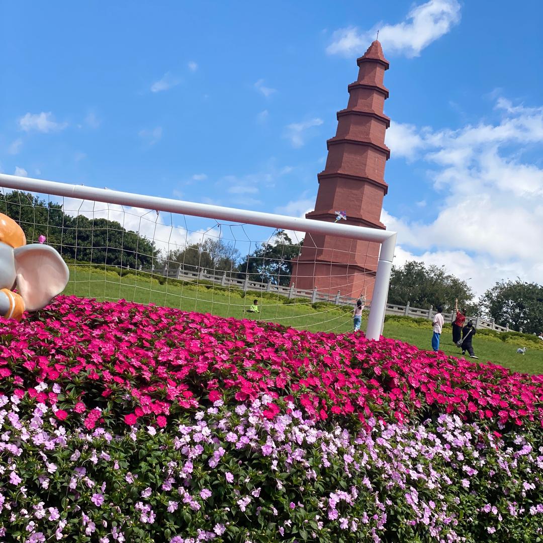 面币💵思过🏔💞