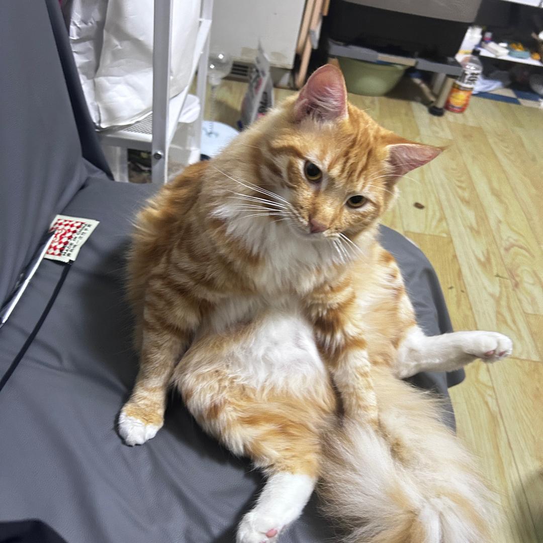 🥢𝘿𝙚𝙡𝙞𝙘𝙖𝙘𝙮 ▫️ 浅浅吃个饭