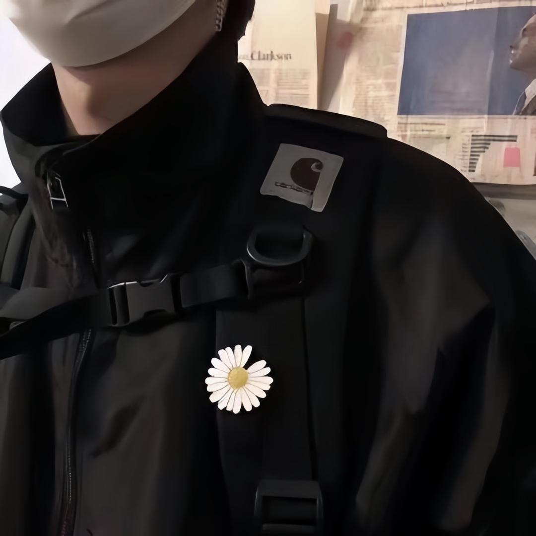 董志杨