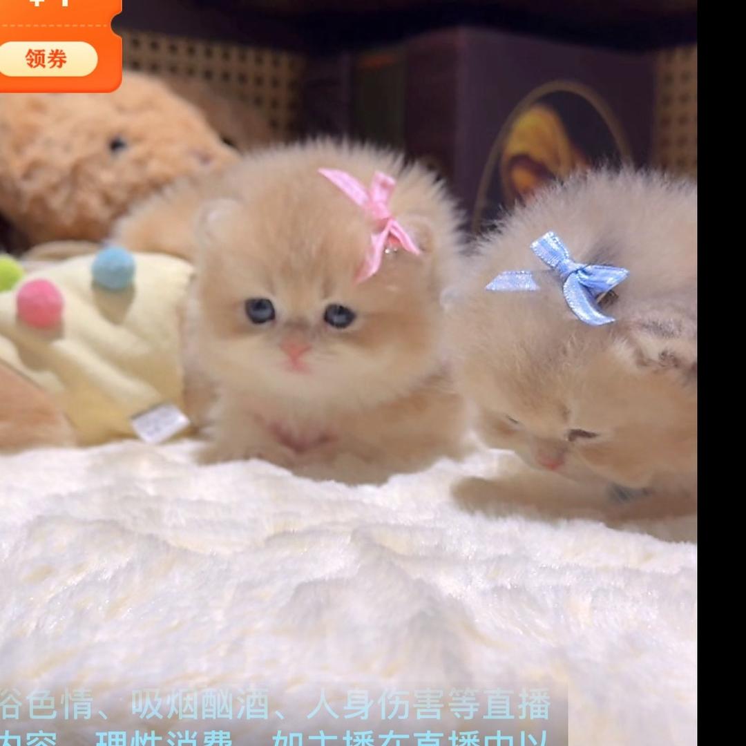 翠花🌸（晚上21:15）