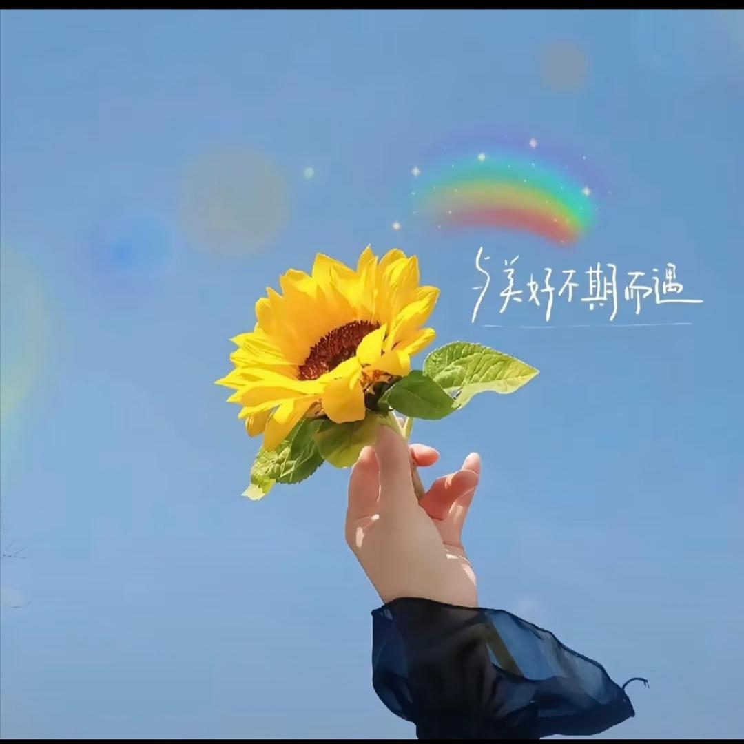 葆光