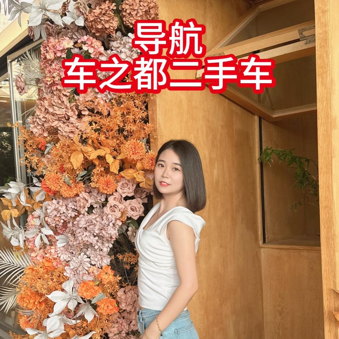 重庆车之都-二手车批发中心