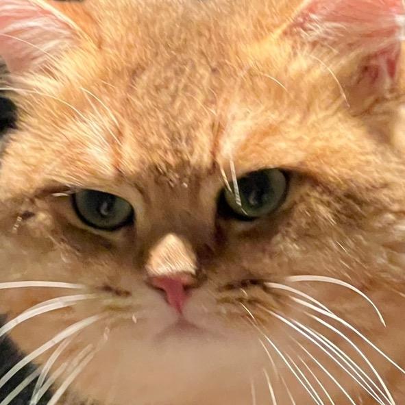 𝘉𝘐𝘛𝘞𝘠𝘙𝘡