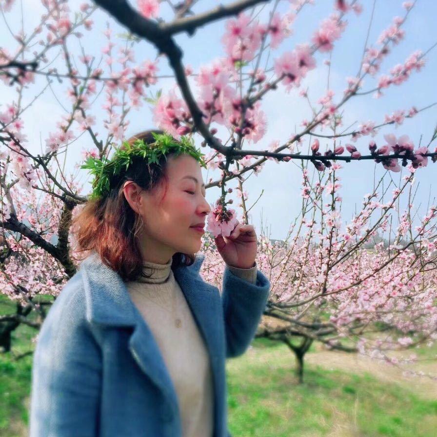 芜湖宝文   杰象童鞋