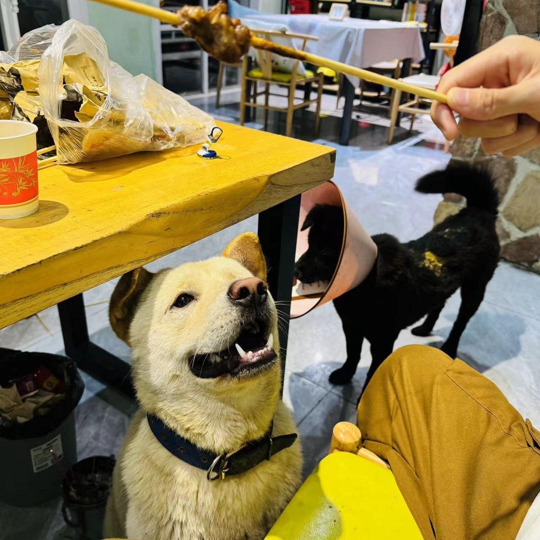 開心モンスター超人