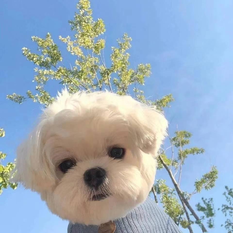 ☀️🫧阿蓉✨🌻