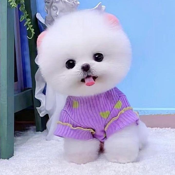 木子李丽