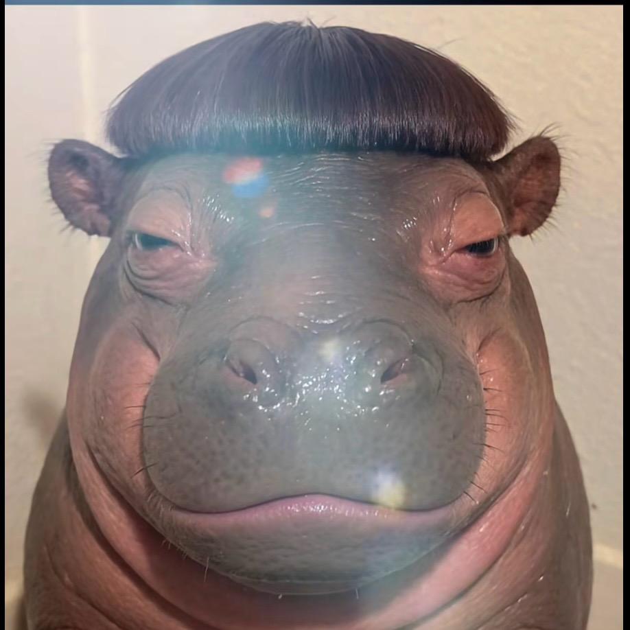 菠萝祥