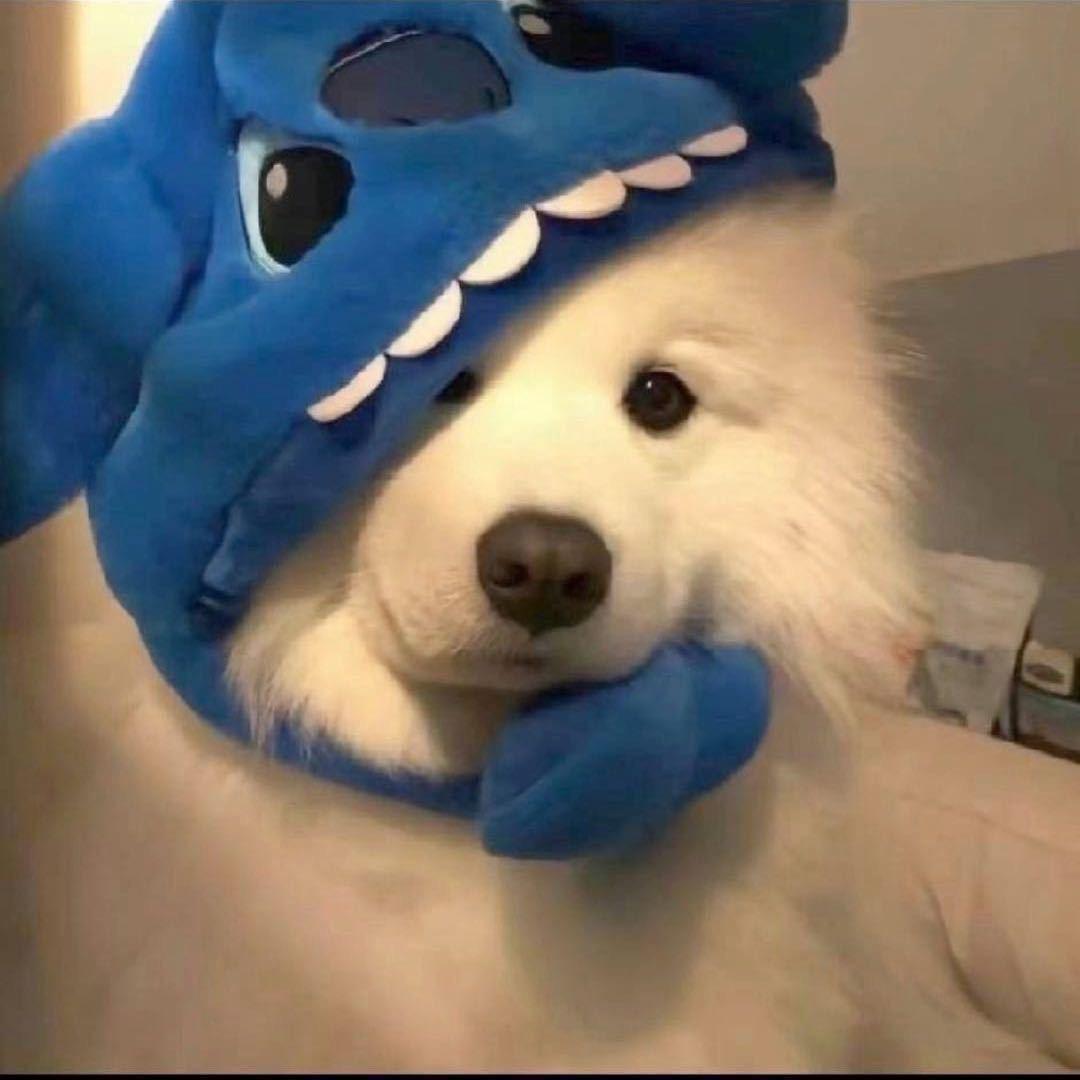 T T