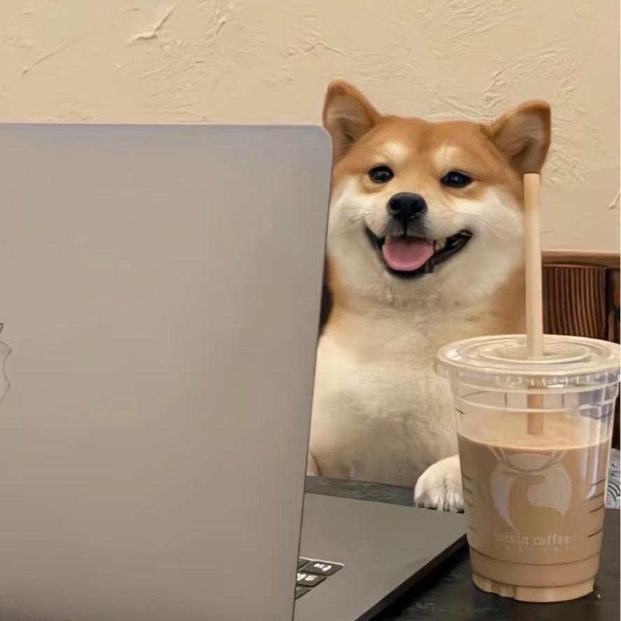 卖猫砂的小女孩👧