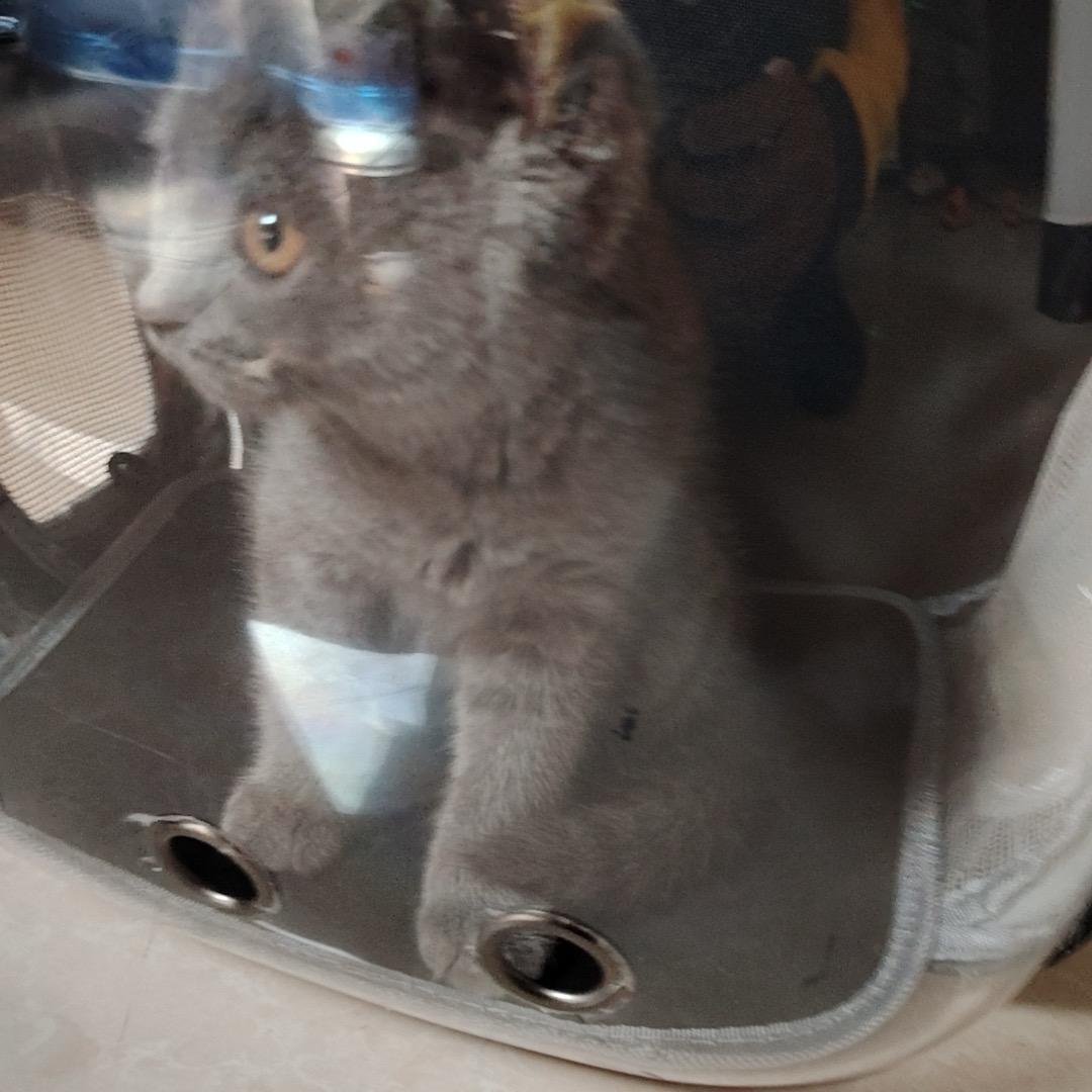 密码💩