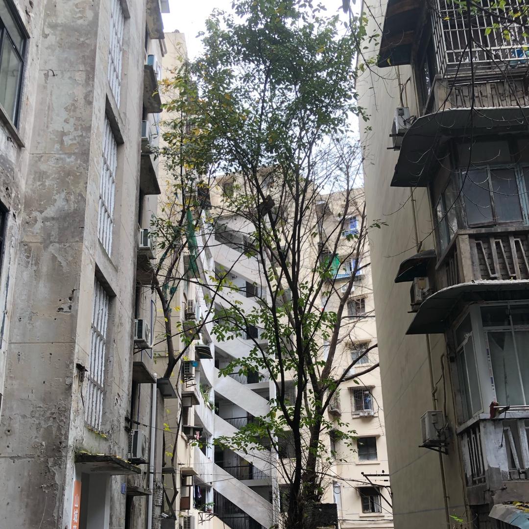 白天放羊晚上打洲