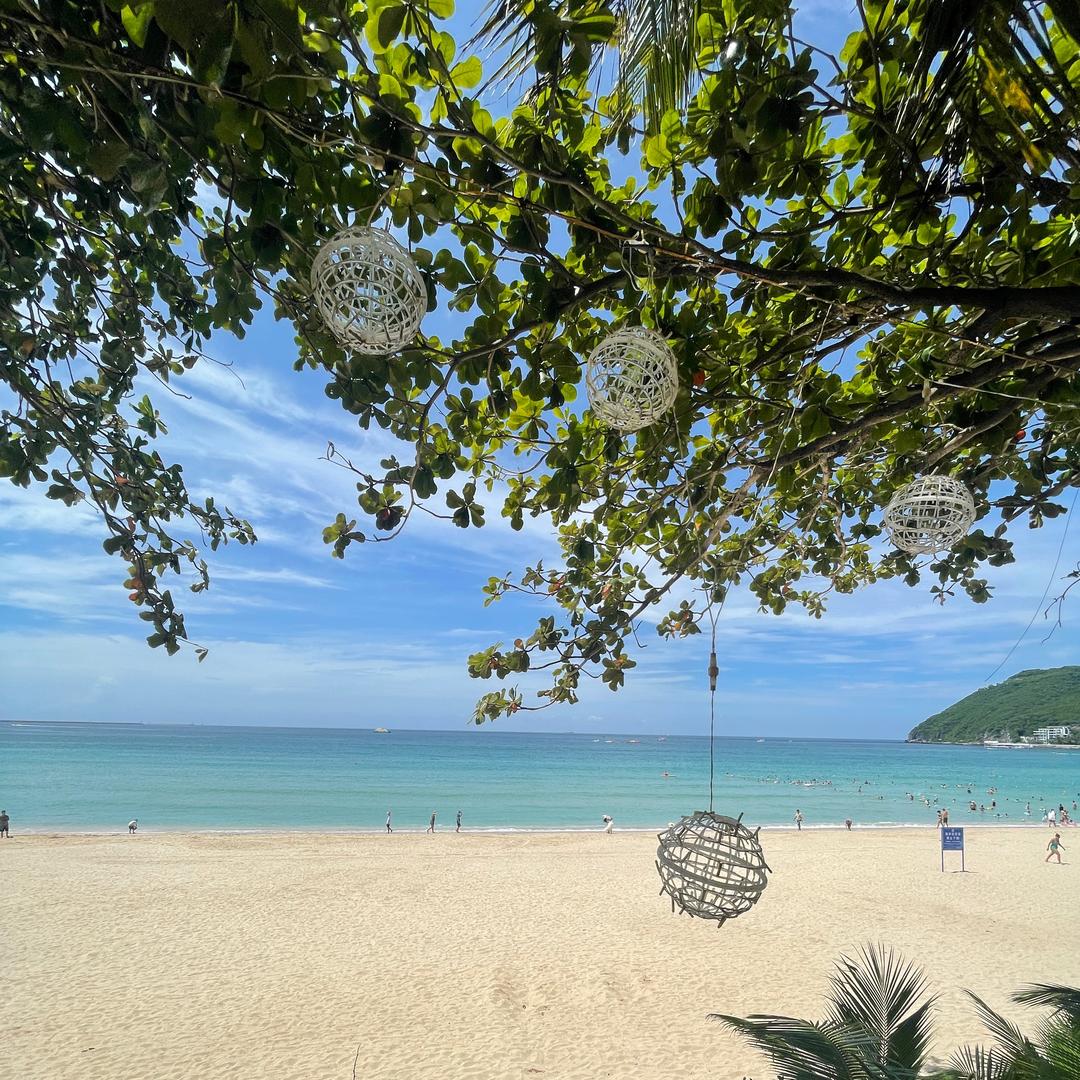 习习嘻嘻哈哈哈哈