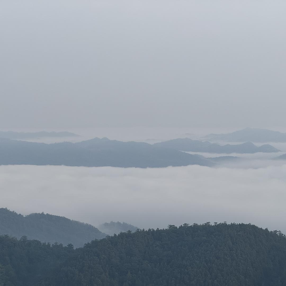 阳羊羊