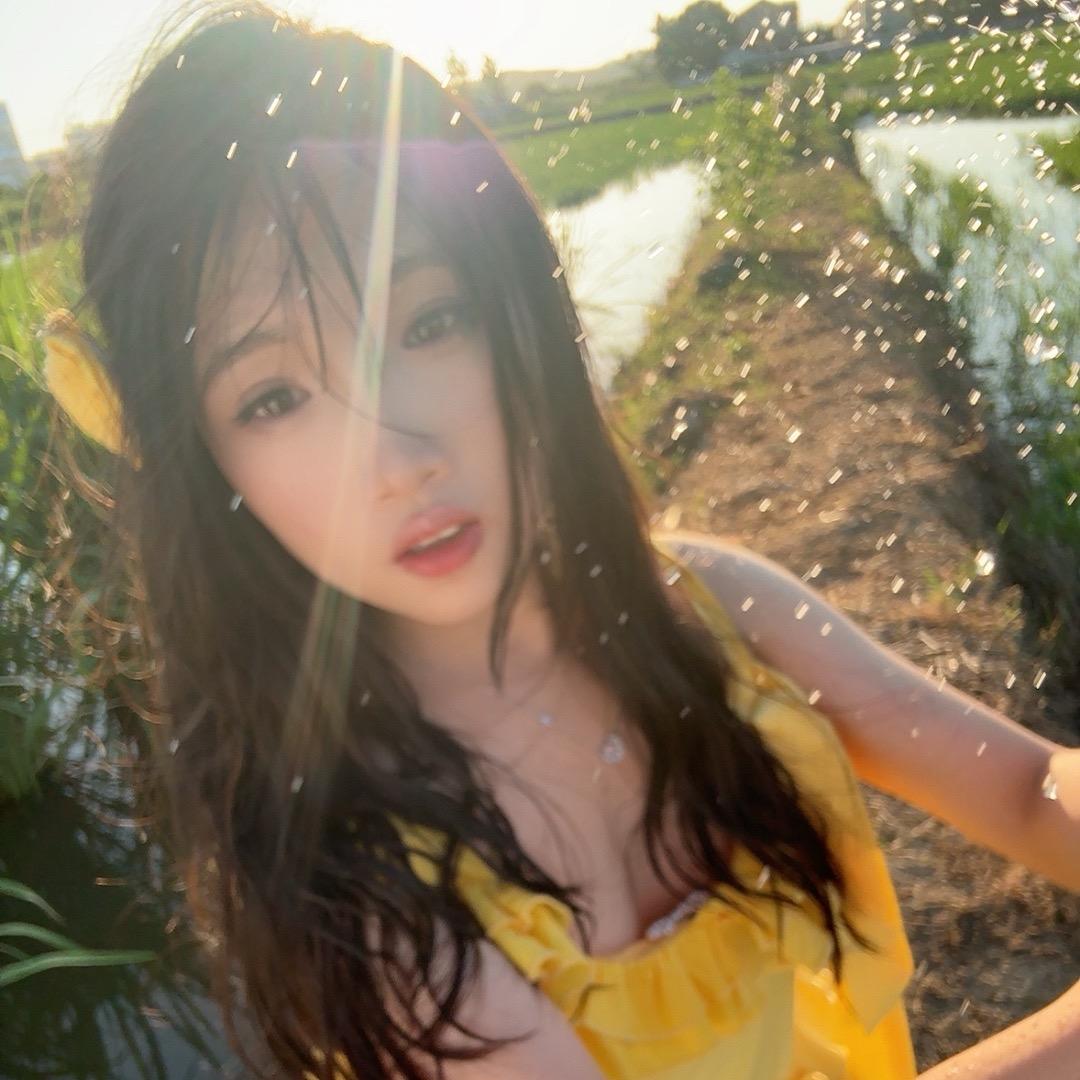 摆烂小鱼