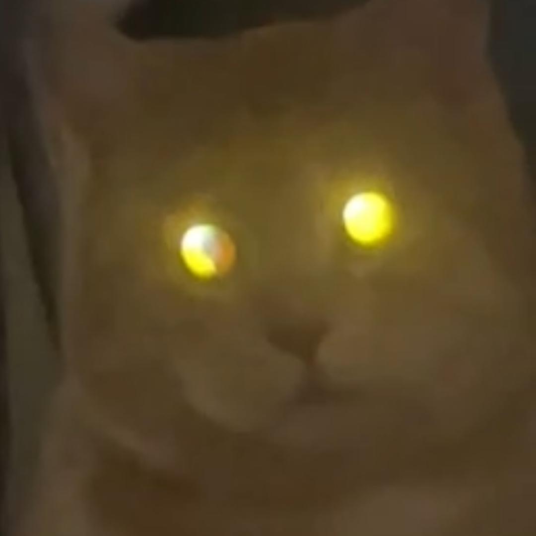 依旧怀揣/.