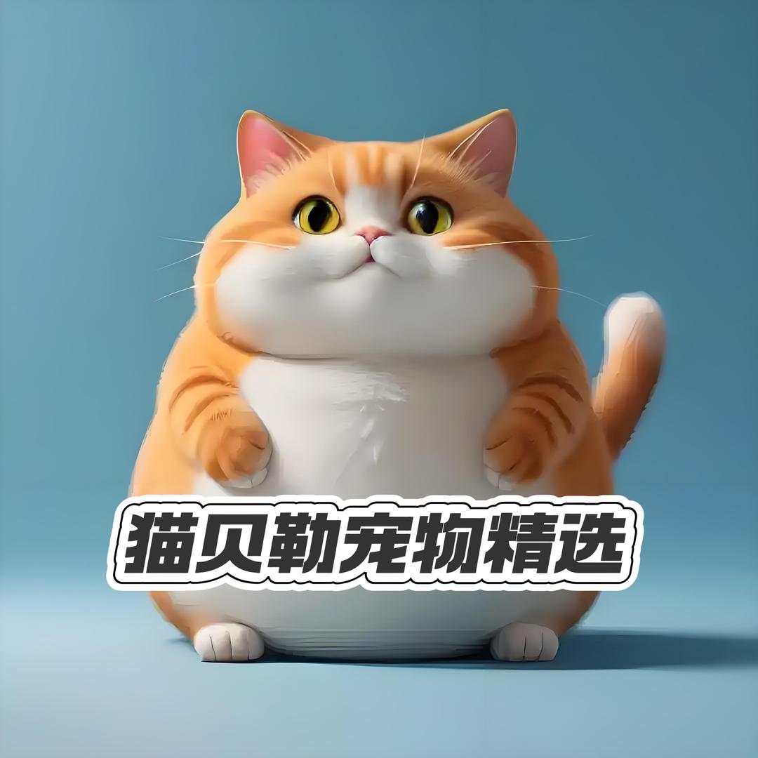 猫贝勒宠物超级折扣仓