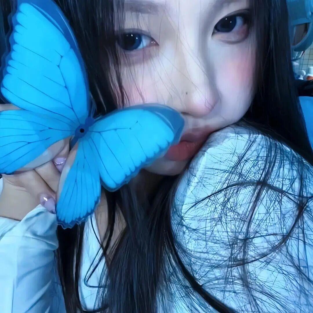 韶华暮景侵寻