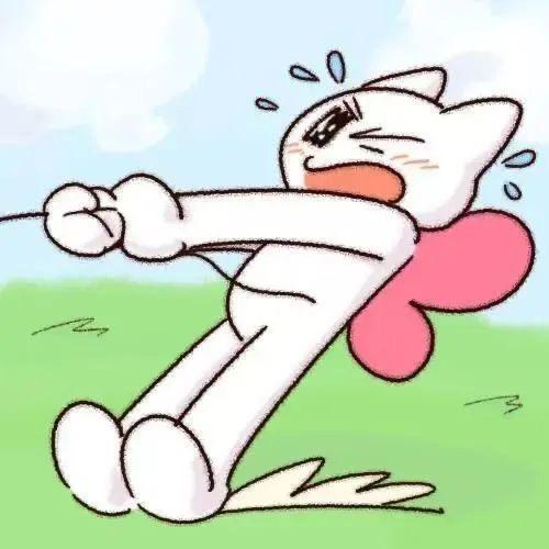 小猫也有心事